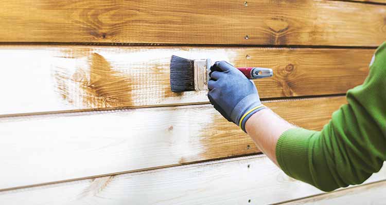 Siding Painting 